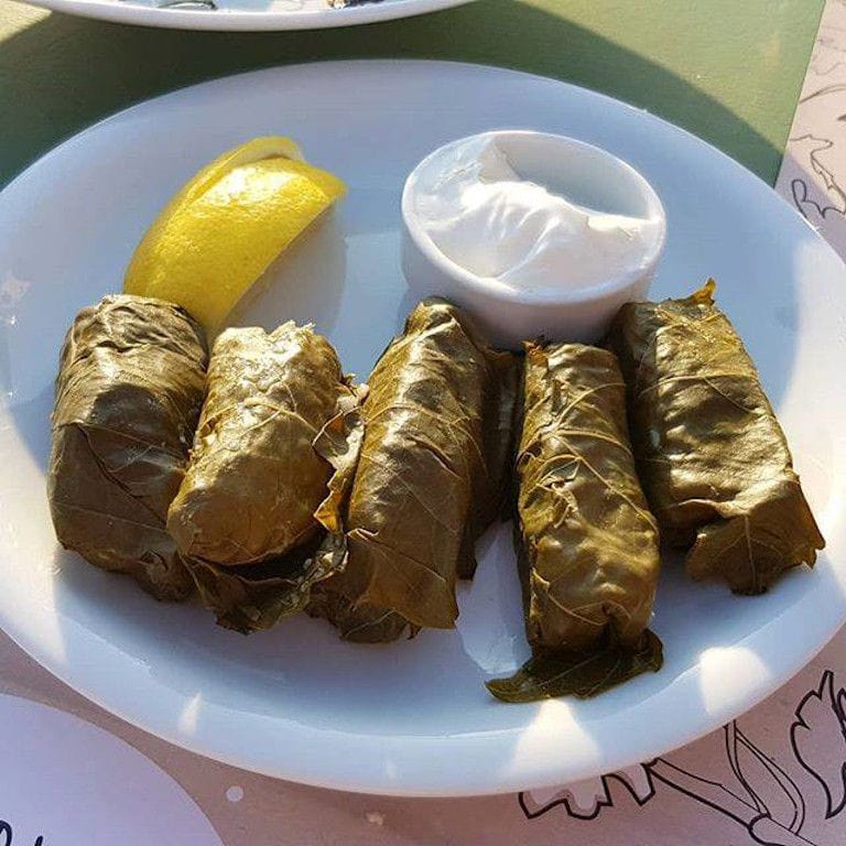 plate with stuffed vine leaves 'Greek dolmadakia' with yogurt and a slice of lemon at 'Manalis Winery' restaurant